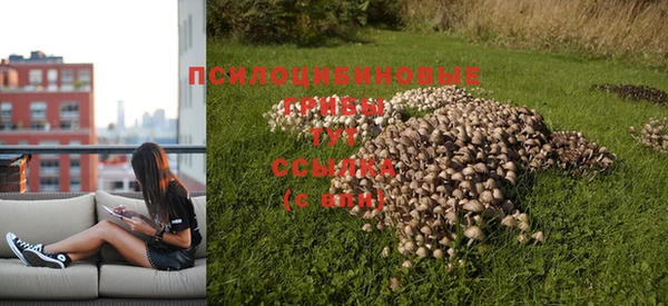 сатива Зеленодольск