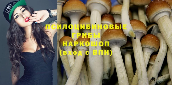 МДПВ Зеленокумск