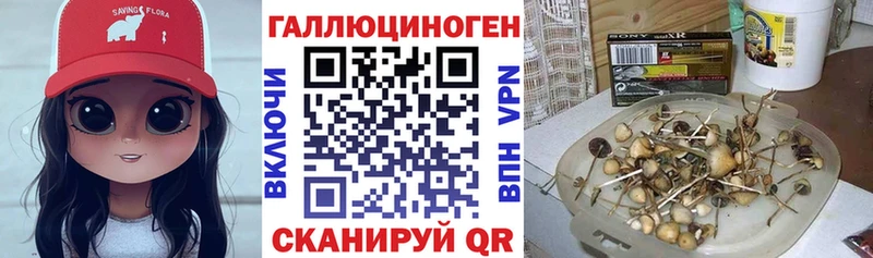 наркотики  Избербаш  Галлюциногенные грибы мухоморы 